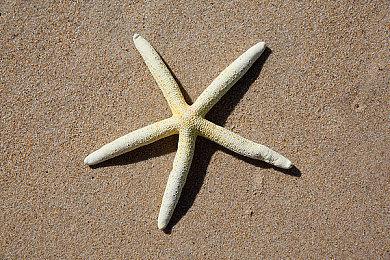 Xbox正在努力改善与史克威尔艾尼克斯之间的关系